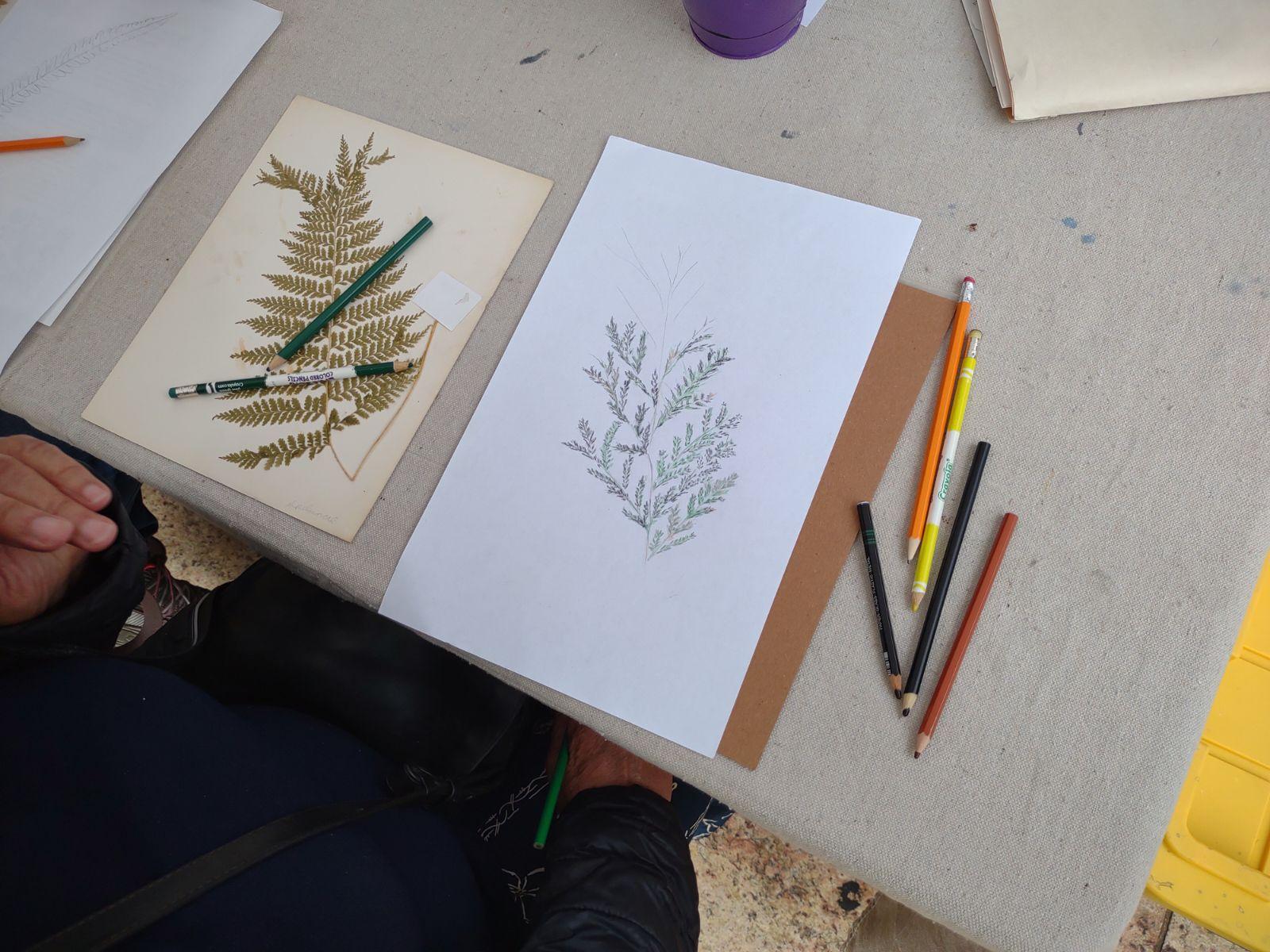 Sketching Lessons